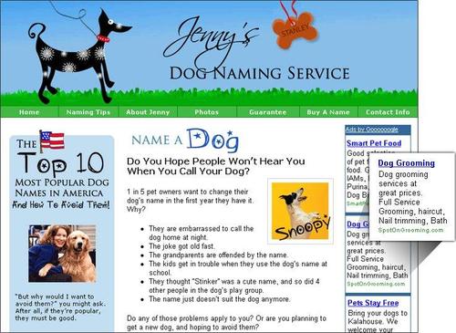 Product picture Google Adsense