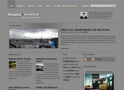 Product picture wordpress premium theme( bloggingstream) From WOO