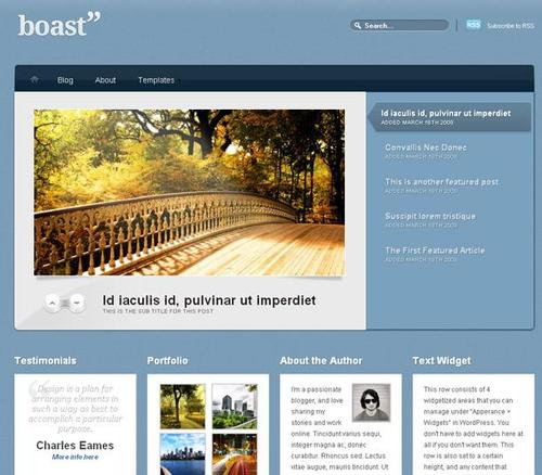 Product picture wordpress premier theme(Boast) From WOO