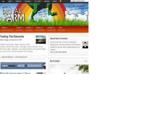 Product picture wordpress premier WOOtheme(Digitalfirm)+ 60