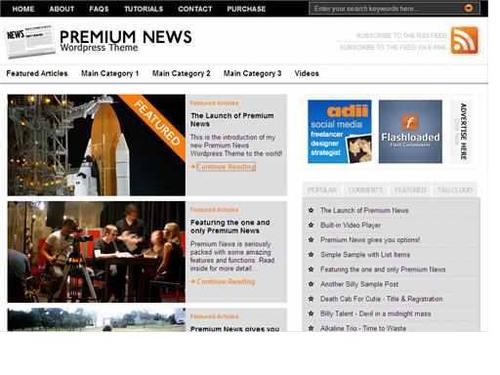 Product picture wordpress premier theme From WOO(premiumnews)