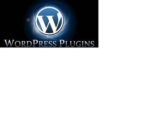 Product picture WP Connect Plugin