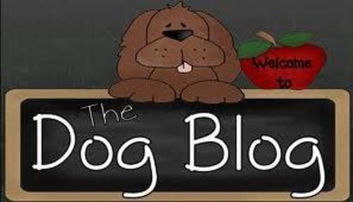 Product picture Dog Training Blog PLR